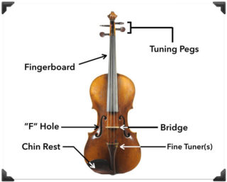 Violin Anatomy